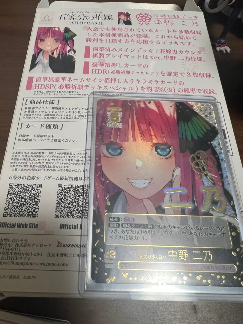 HDSP 変わりゆく日々　中野 二乃　ごとカド