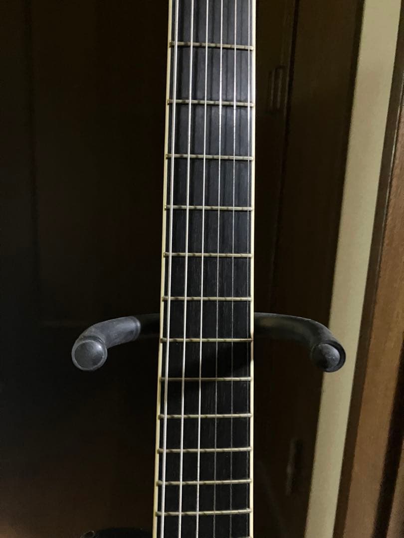 daizo ESP SUGIZO eclips ブラックパイソンs-1