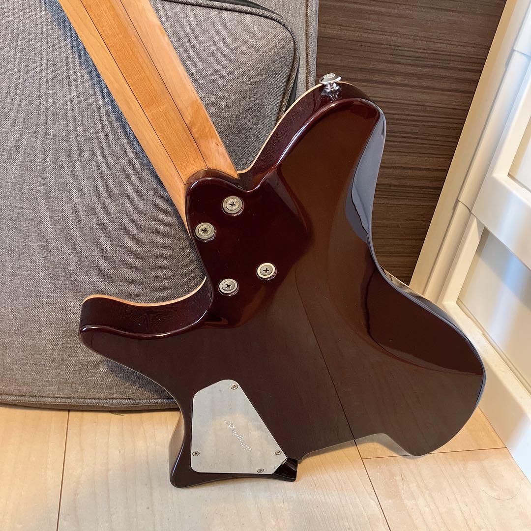 【最終値下げ】strandberg Salen Deluxe