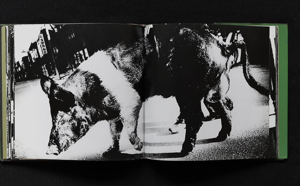 続にっぽん劇場写真帖 DAIDO MORIYAMA　森山大道