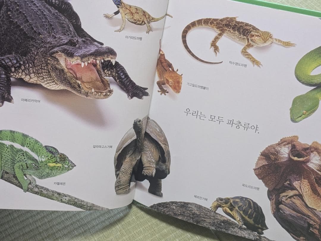 韓国語　幼児向け絵本　自然