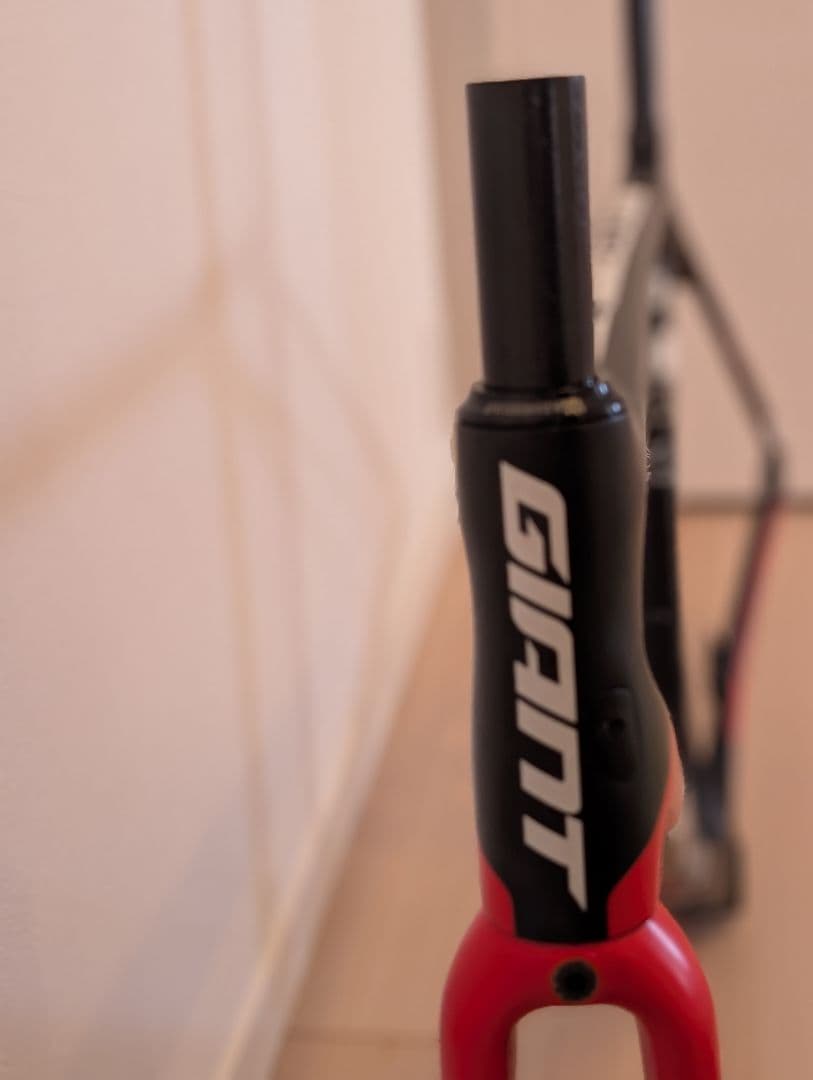 Giant Sunweb カーボンロードバイクフレーム