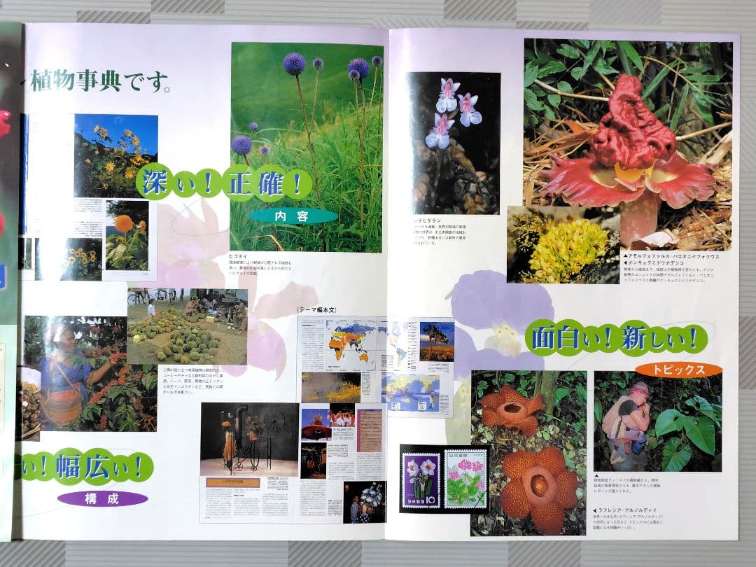 朝日百科　植物の世界　上製本　全15巻　本巻14冊＋総索引・総目次1冊