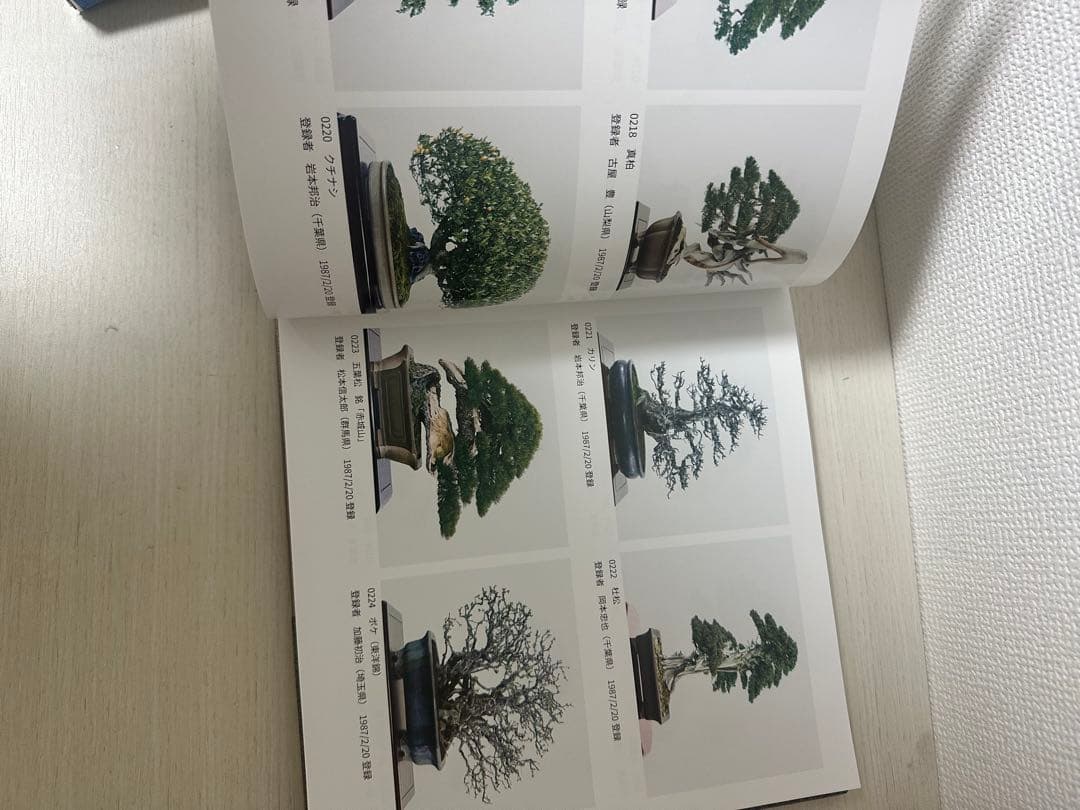 貴重盆栽登録樹集
