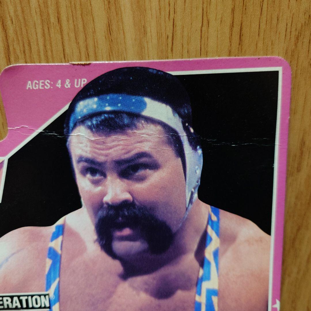 ハズブロ HASBRO WWF WWE　スタイナー・ブラザーズ　フィギュア