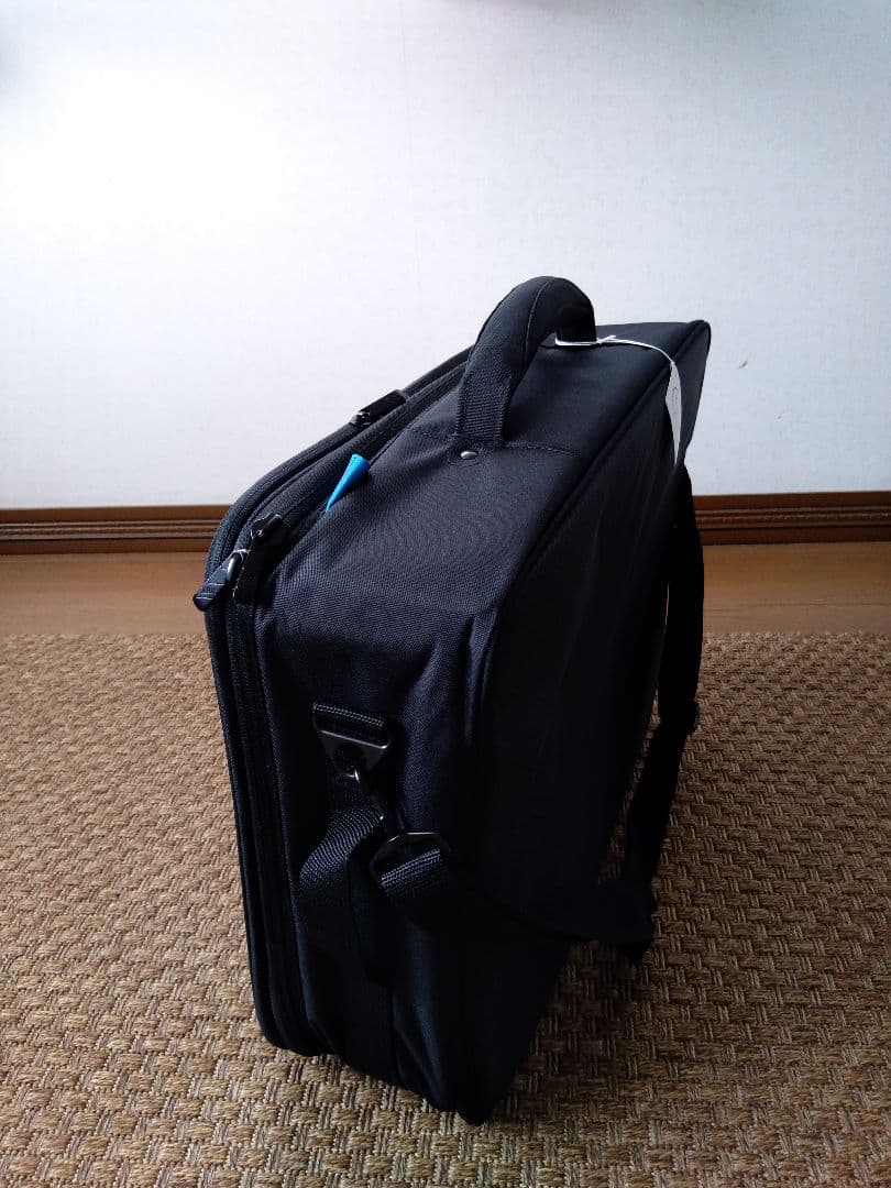 ギター REUNION BLUES / RBXPB-1814 + pedaltrain
