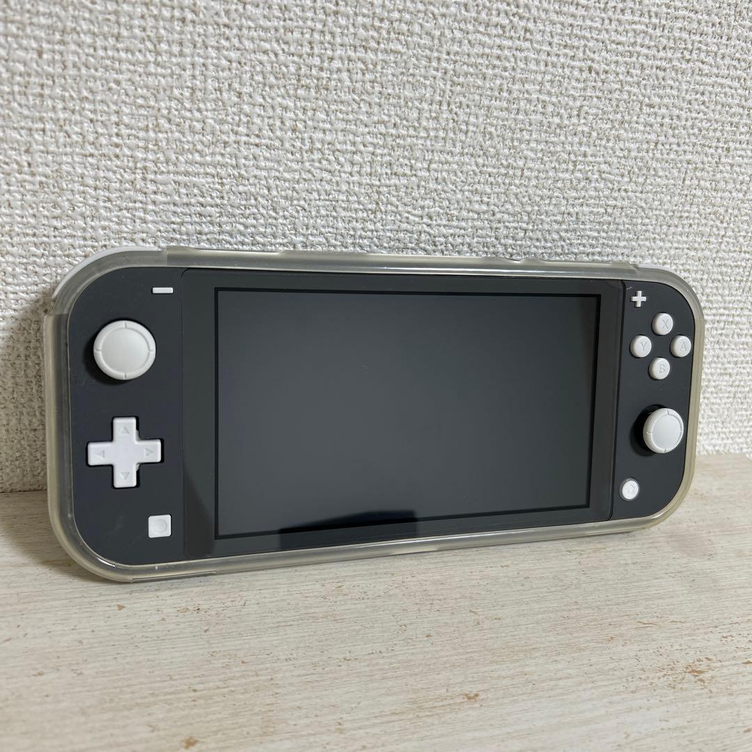 Nintendo Switch Lite(グレー)ピクミン1+2 まとめ売り