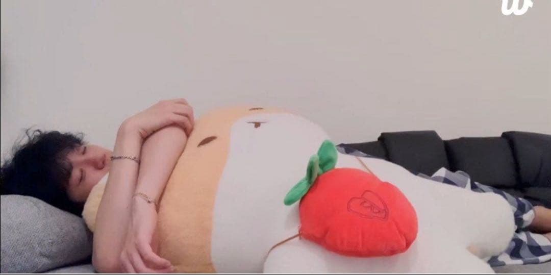 BAEKHYUN ベッキョン 大王トレギ　ぬいぐるみ　80cm