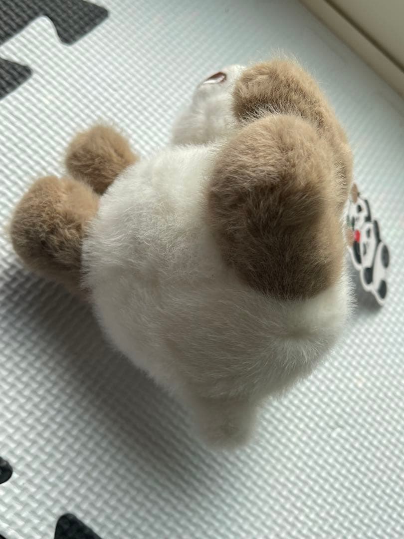 パンダ ふわふわぬいぐるみ 2点セット