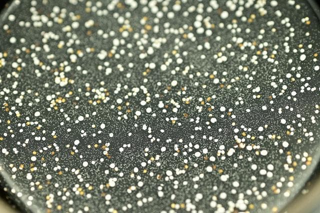 塗師　林勝　黒　大棗　墨絵　波千鳥　内銀平目　茶道具　二重箱　美品