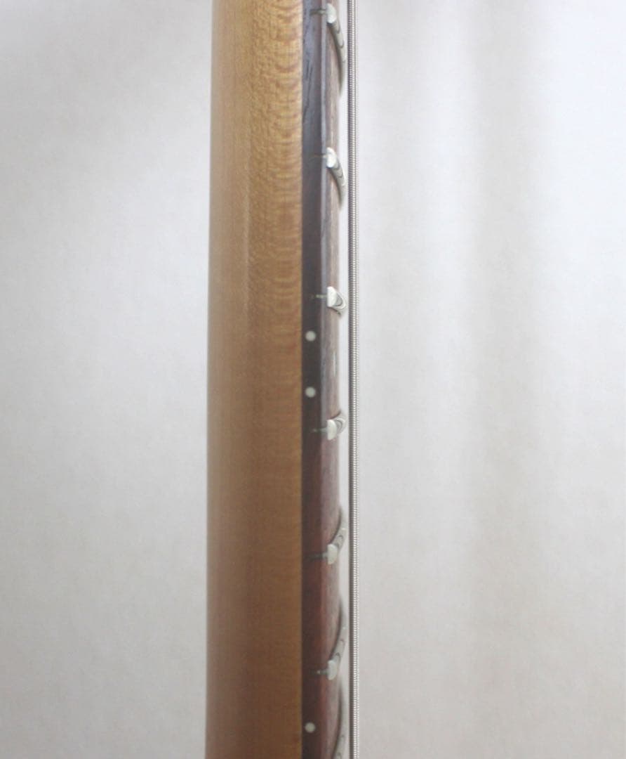 Fernandes フェルナンデス APG-65S サスティナー搭載