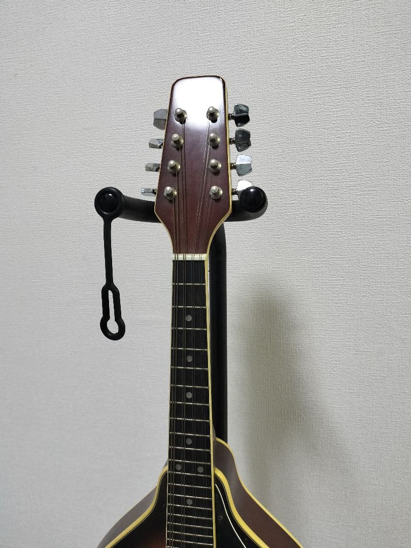 Samickサミック マンドリン sm20ts