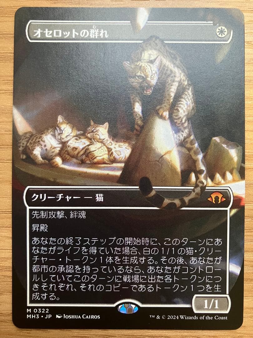MTG オセロットの群れ 日本語版 1枚＋トークンおまけ