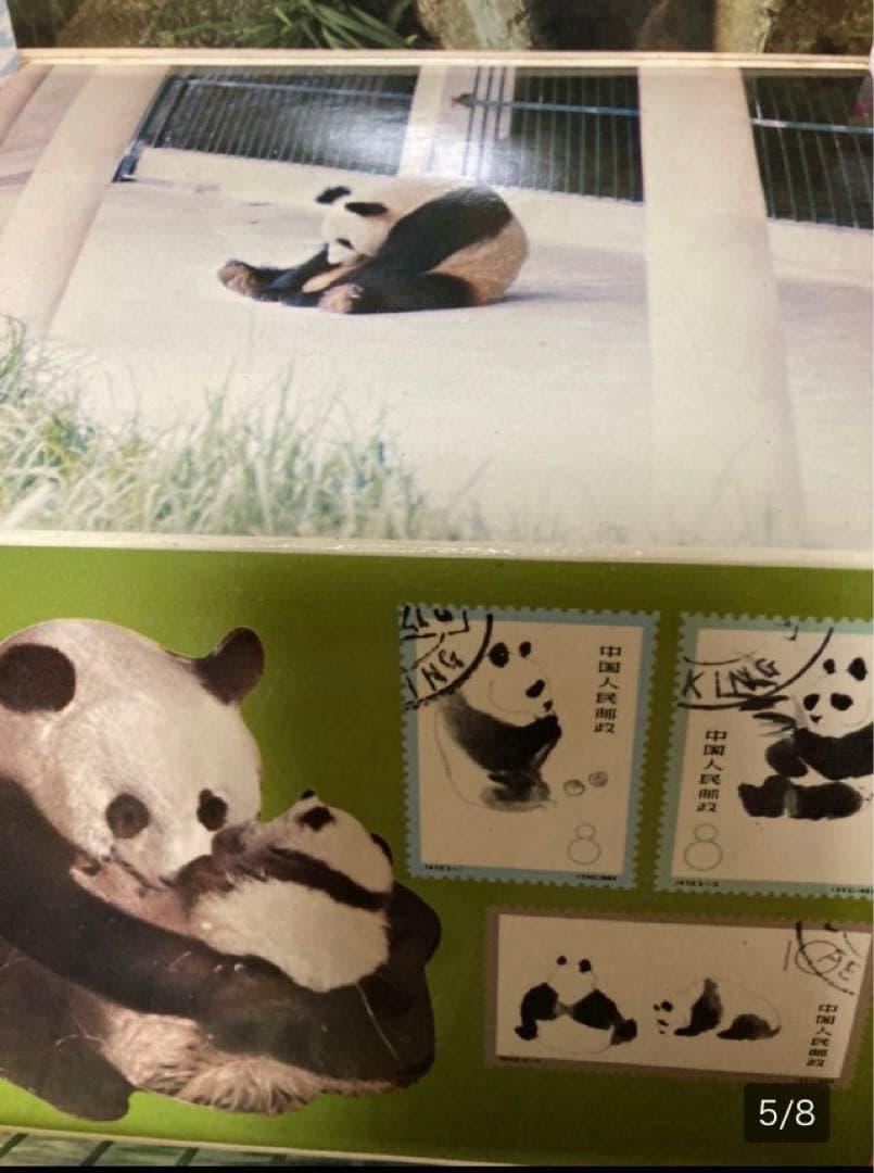 「希少/未使用」パンダ　ポストカード9枚綴り　カンカン　ランラン　上野動物園　②