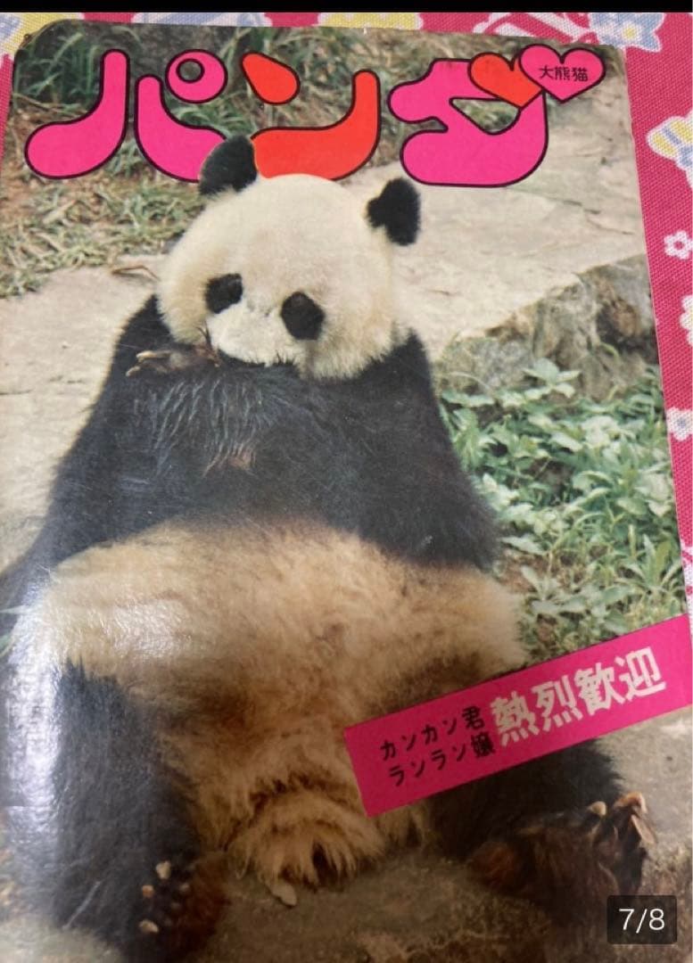「希少/未使用」パンダ　ポストカード9枚綴り　カンカン　ランラン　上野動物園　②