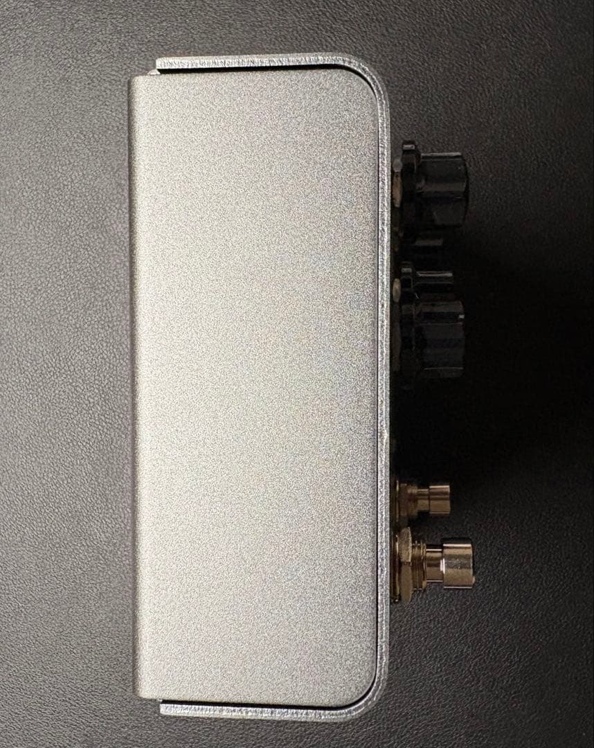 STRYMON El Capistan V2 2025年7月新品購入