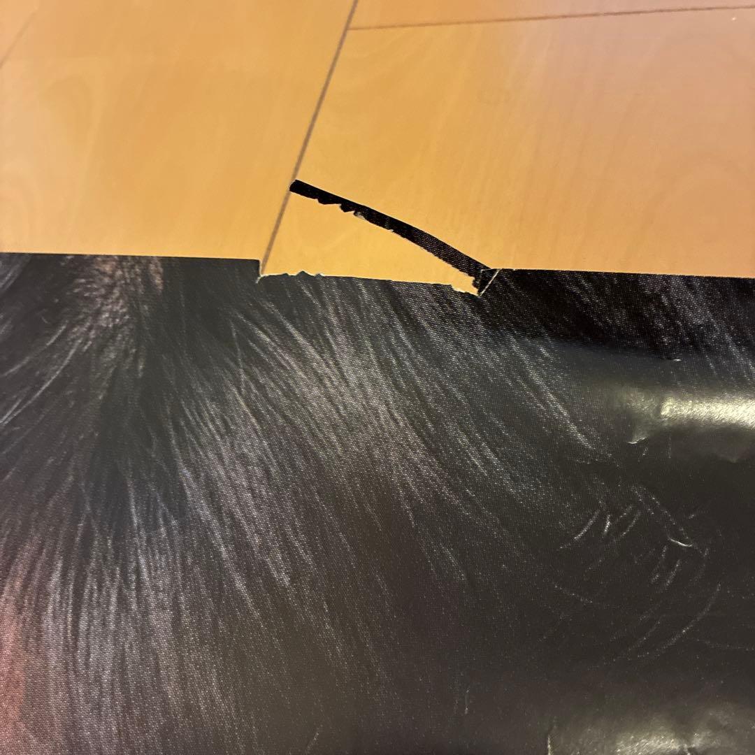 カネボウ　沢口靖子　昭和レトロ　ポスター