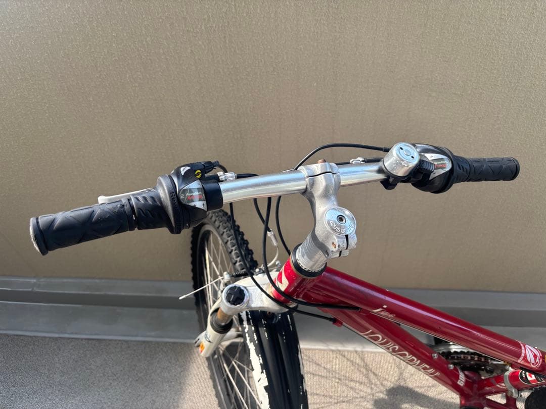 ルイガノ LOUIS GARNEAU LGS-J24 ジュニア自転車