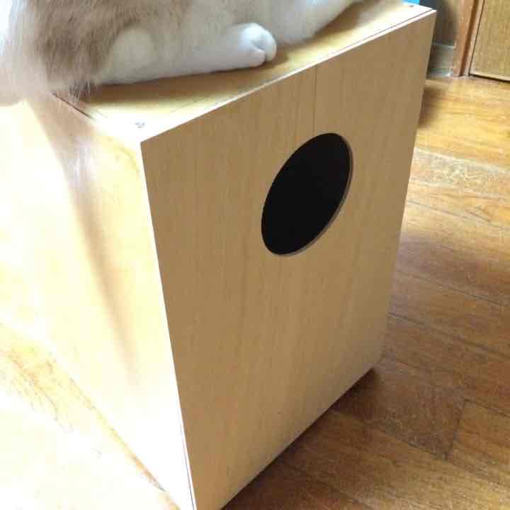 自作カホン！