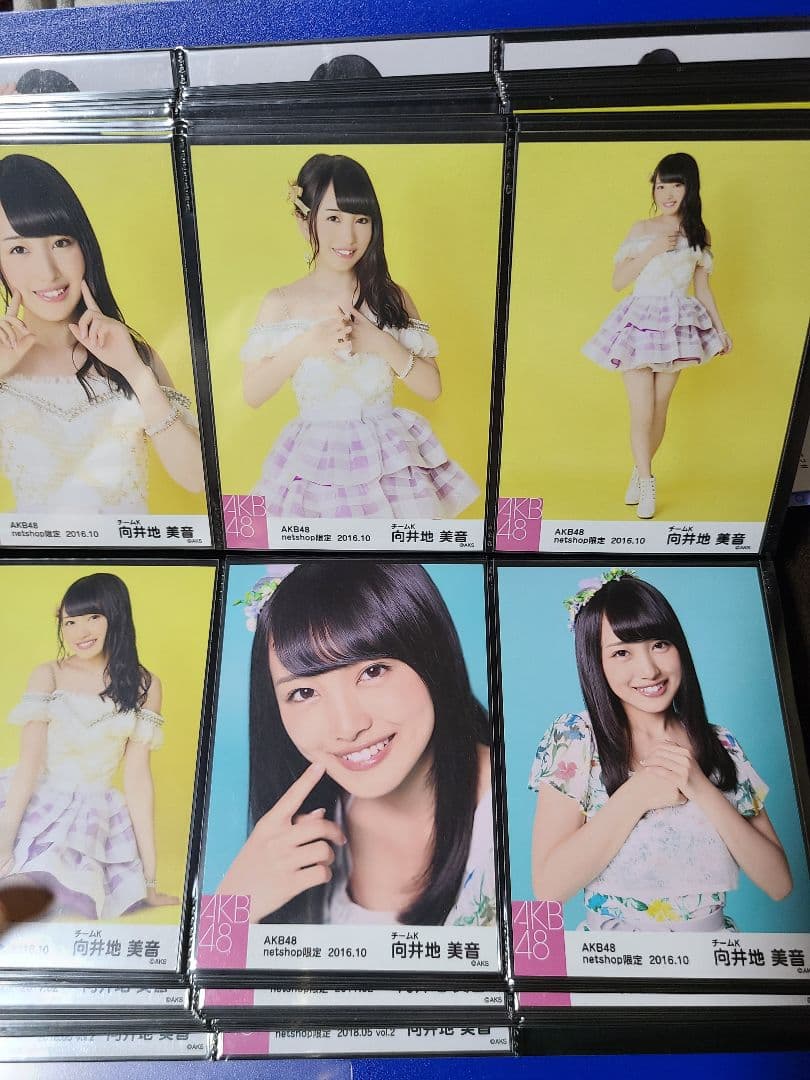 向井地美音 個別