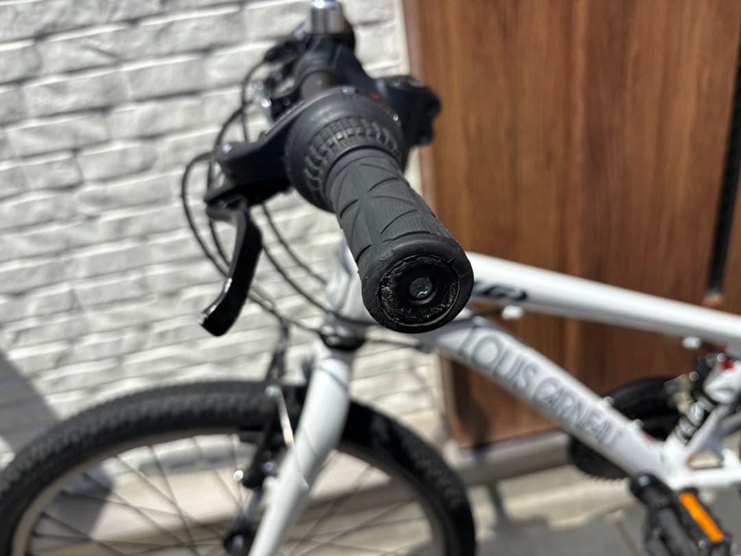 ルイガノ自転車J22【手渡し限定】