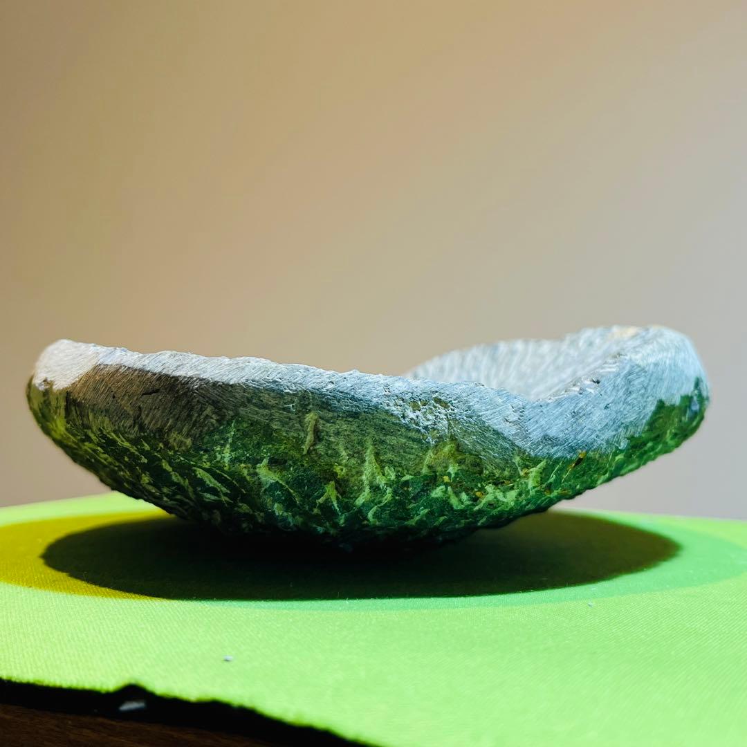三葉虫　化石