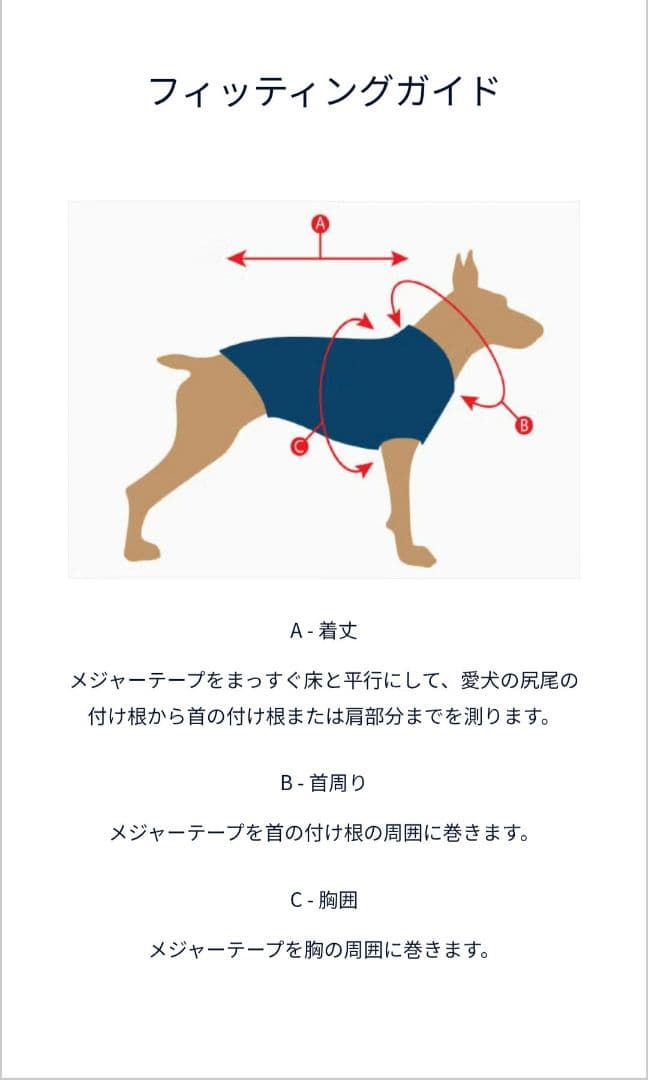 POLO RALPH LAUREN 犬用セーターsサイズ