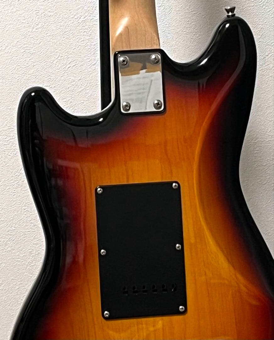 Bacchus バッカス BMS-1R ムスタング サイクロン タイプ