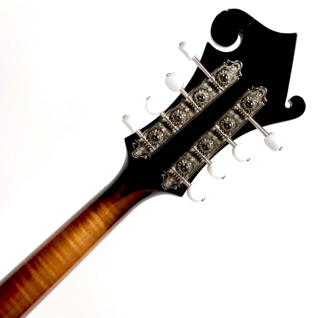 Dano Custom Mandolin F type フラットマンドリン