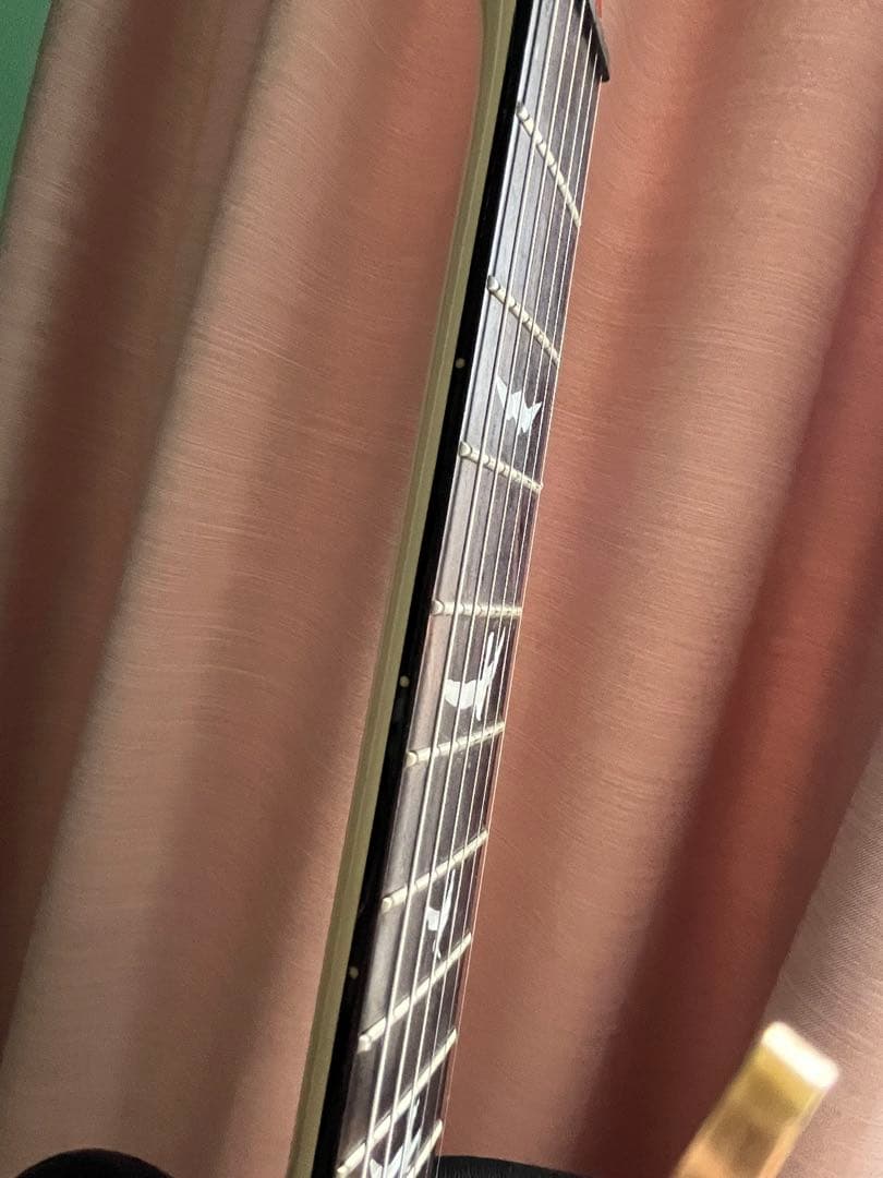 PRS SE Custom 24カスタム限定カラー ピンク ケース付