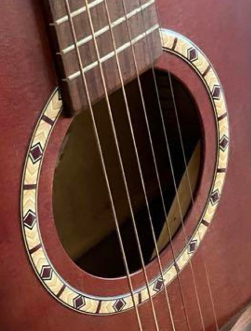 アコースティックギター （エレアコ）Art & Lutherie