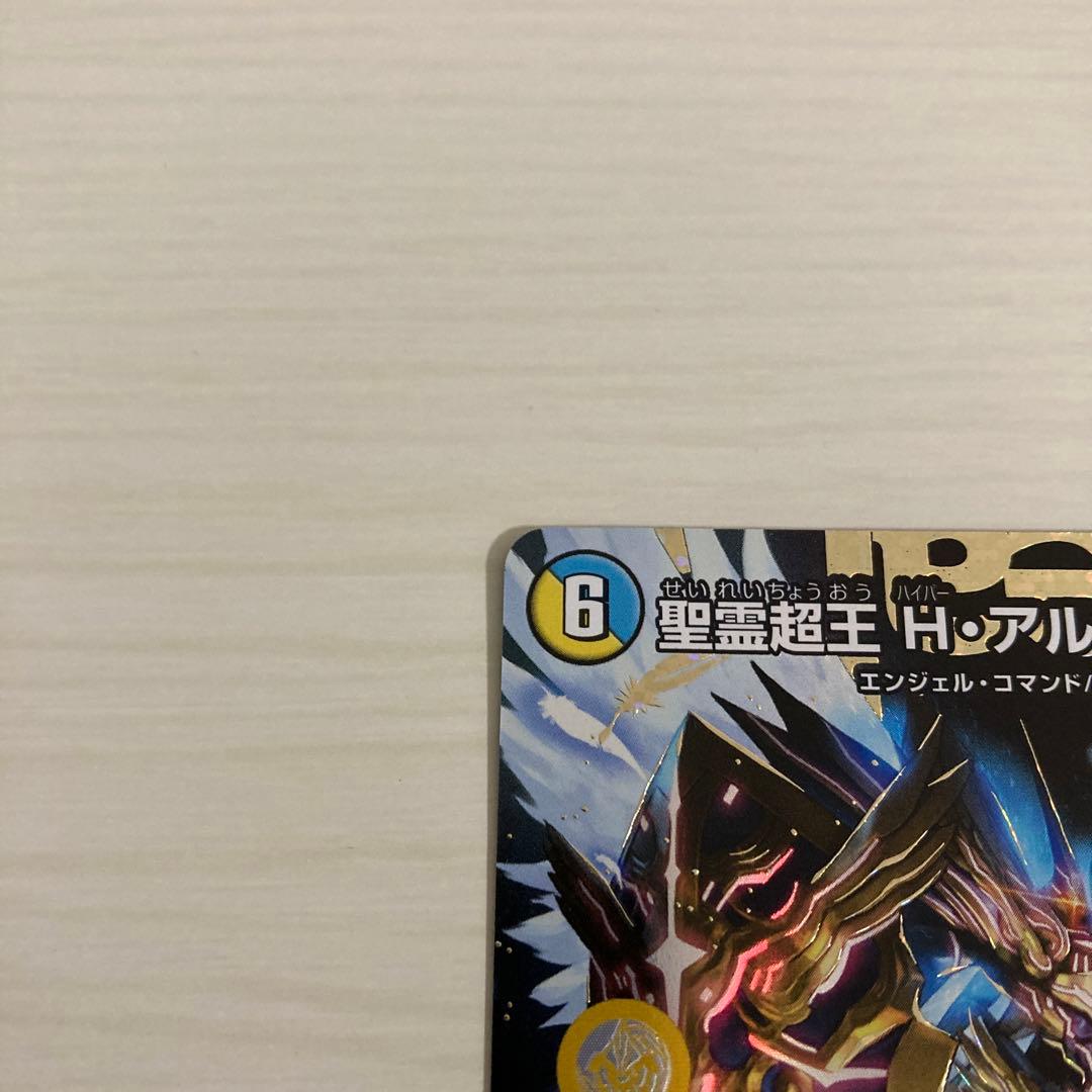 メルカリ便 聖霊超王 Hアルカディアス 秘 シク シークレット