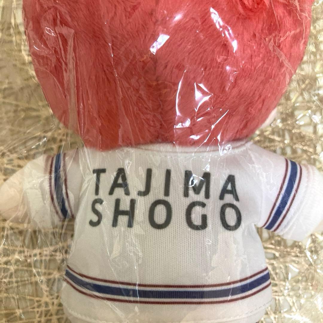 田島将吾20cmドール【INI】開封済み、未使用