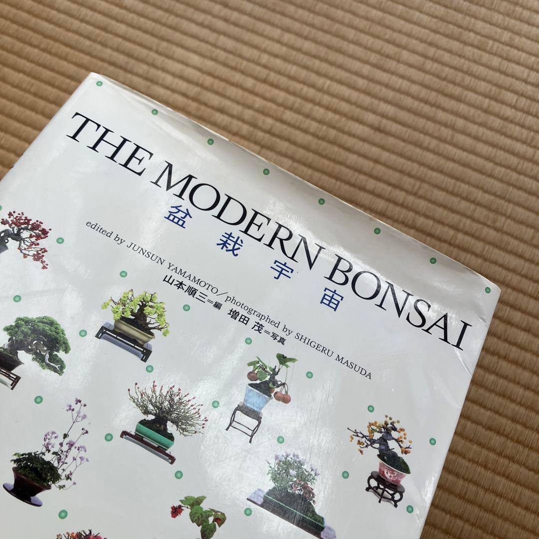 THE MODERN BONSAI 盆栽宇宙