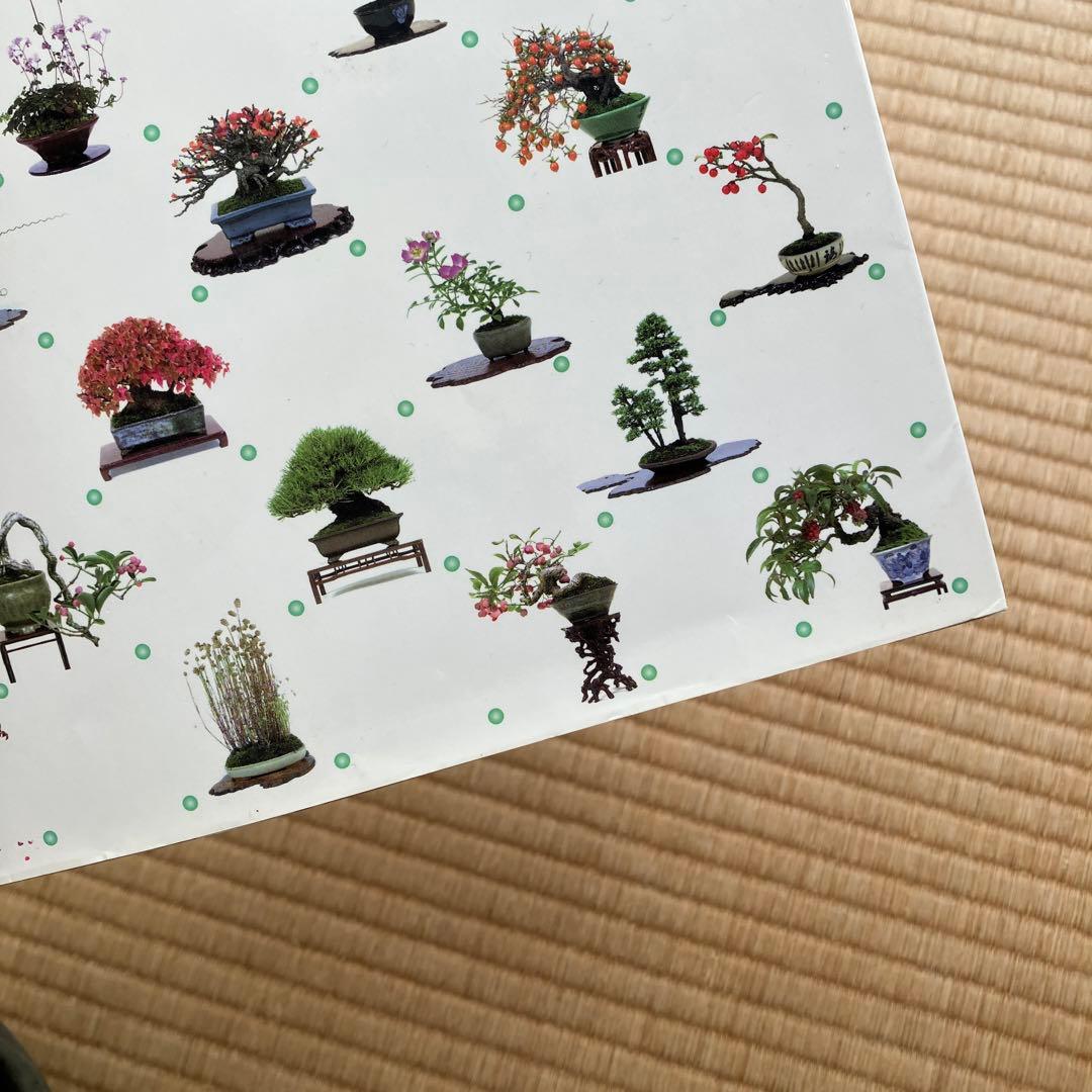 THE MODERN BONSAI 盆栽宇宙