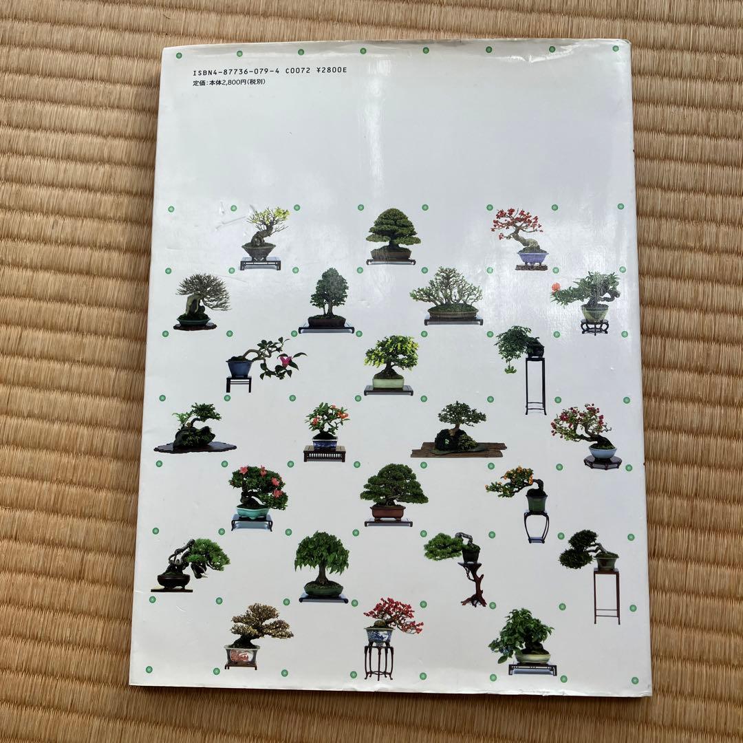 THE MODERN BONSAI 盆栽宇宙
