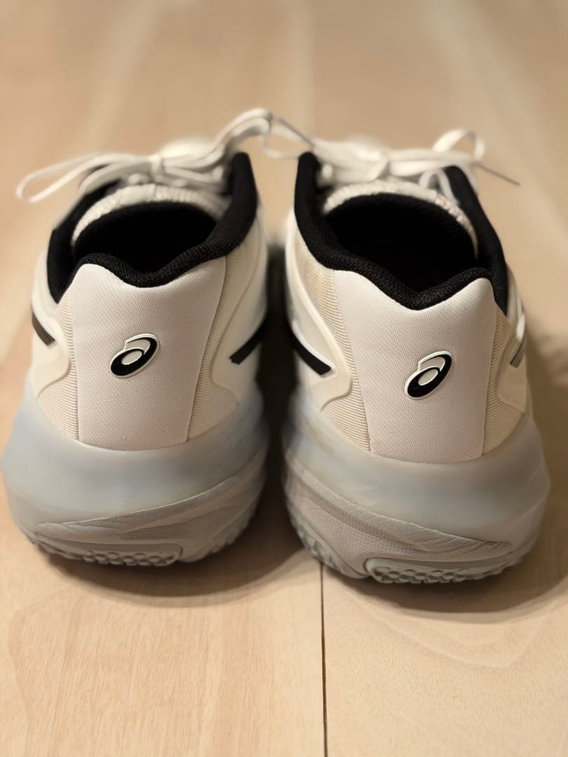 asics GEL-RESOLUTION X OC オムニ クレー 28.0cm