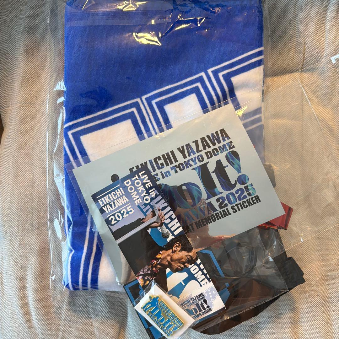 矢沢永吉 2025 東京ドーム PSS席　非売品　限定グッズ　タオルその他セット