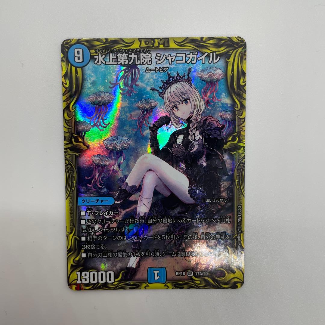 シャコガイルa