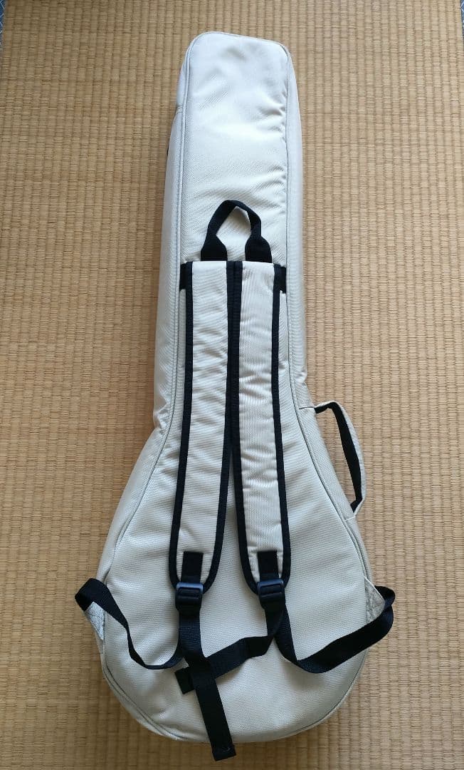 【美品】Gold Tone　AC-4IT　アイリッシュテナーバンジョー