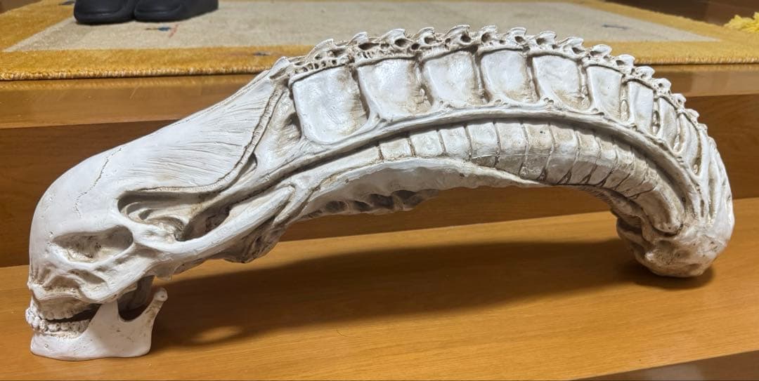 ✳︎超特大✳︎ エイリアン　頭蓋骨　模型　70 cm!!!