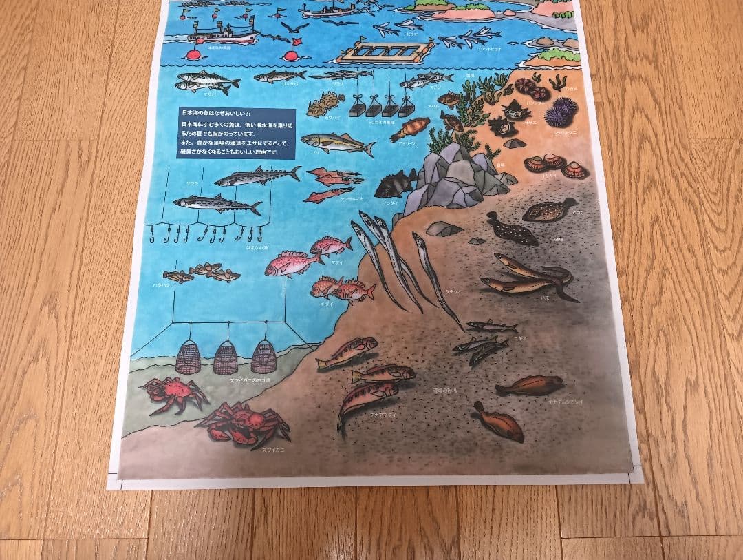 魚　ポスター　漁方