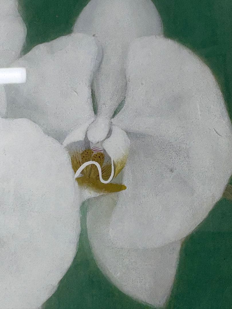 「胡蝶蘭」　下島洋貫　絵画　日本画　風景画　額装　共シール　箱袋有り