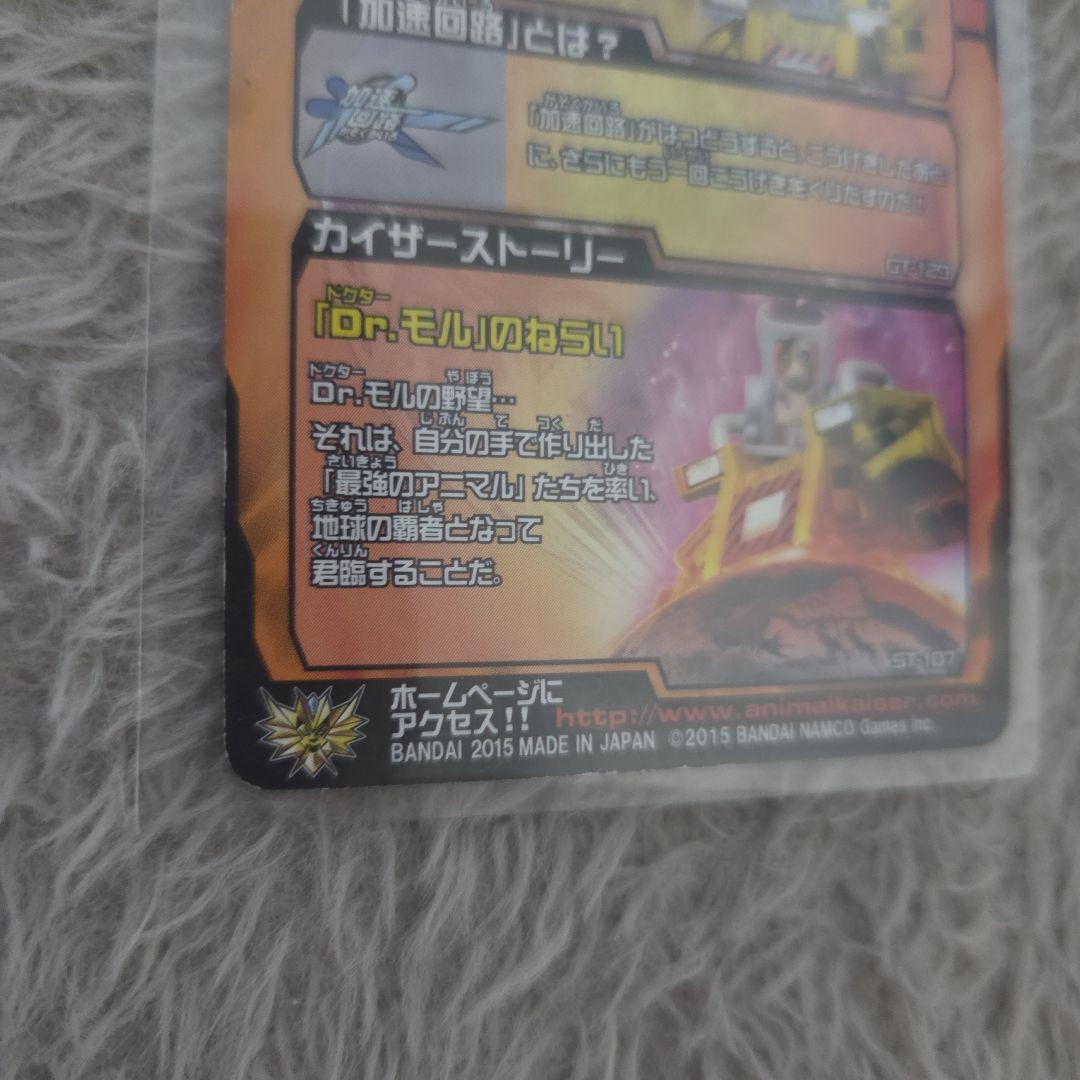 Dr.モル