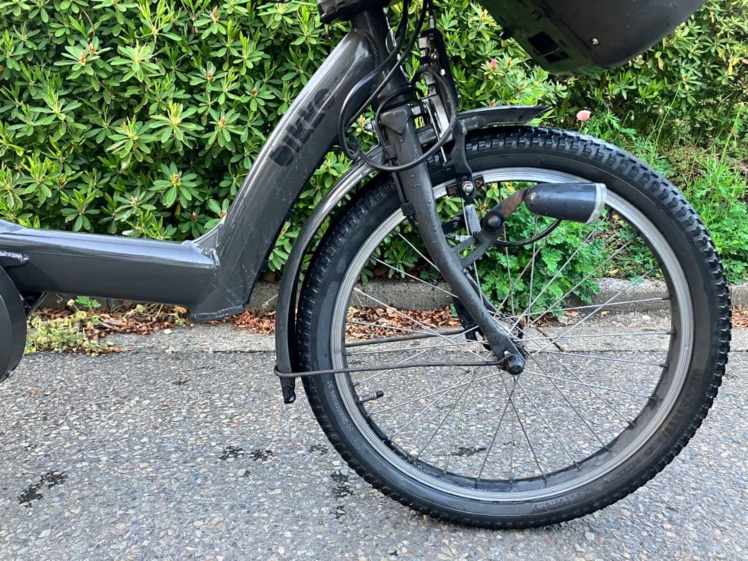 Bridgestone(ブリヂストン)ビッケ ポーラー e 2019年モデル