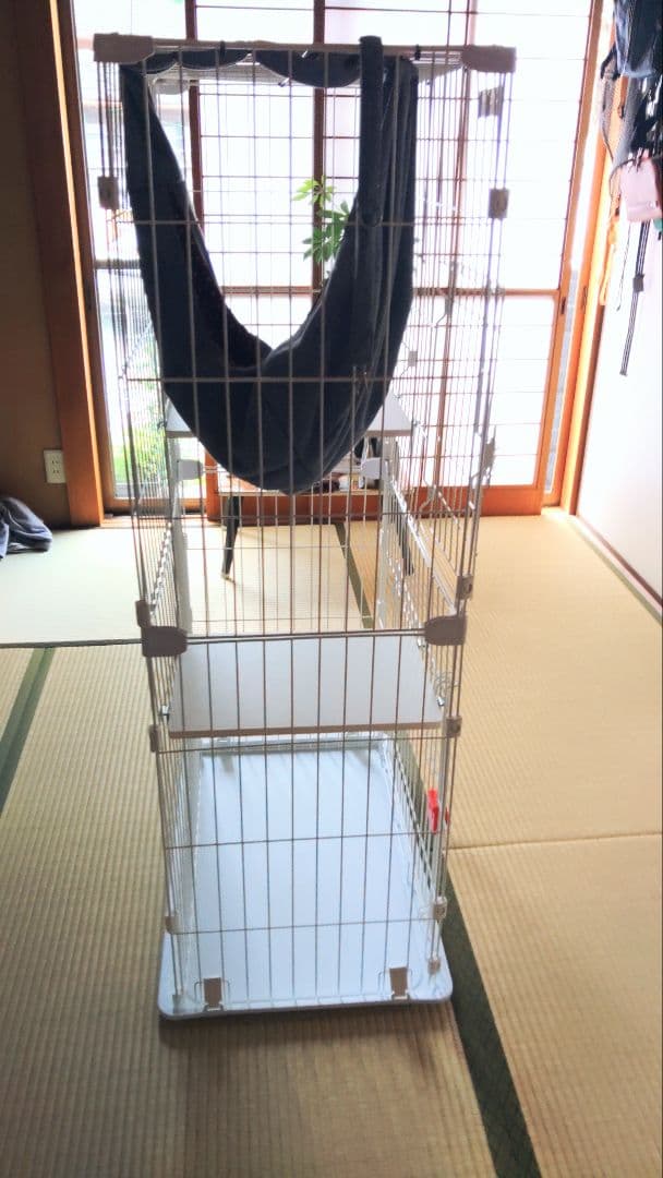 猫　サークル