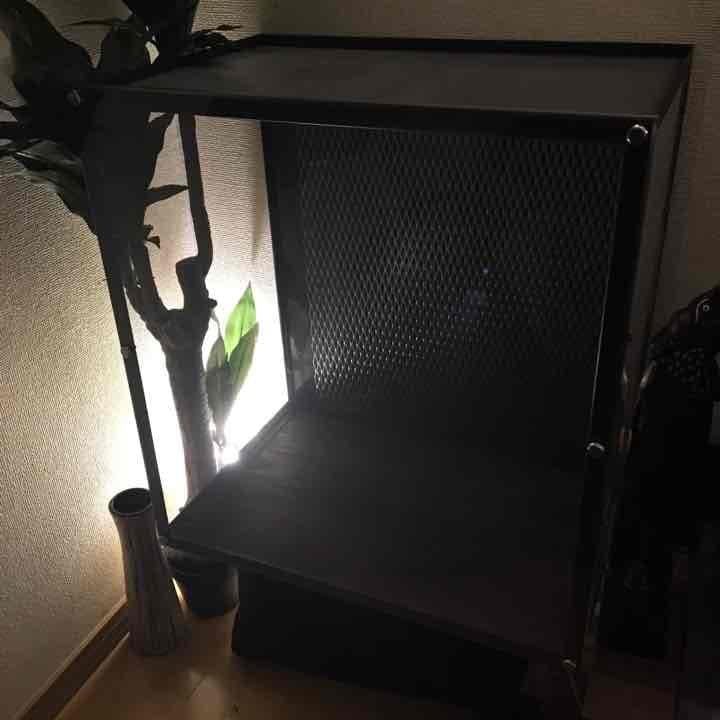 オリジナル水槽爬虫類などなど