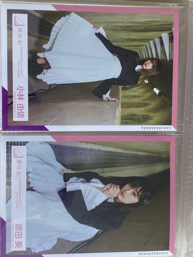 欅坂、櫻坂46生写真バラ売り可