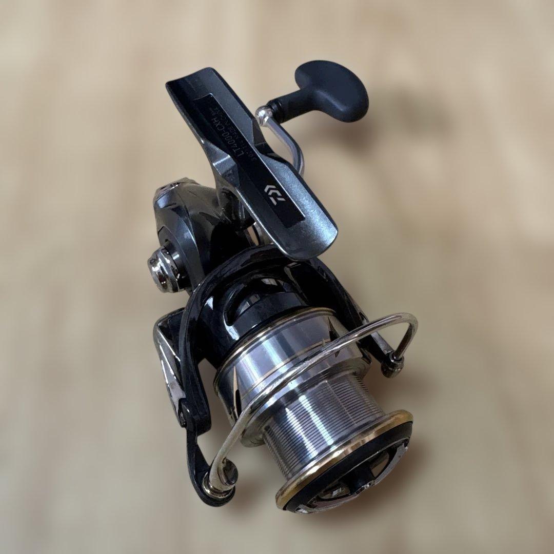 ダイワ 20ルビアス LT4000-CXH