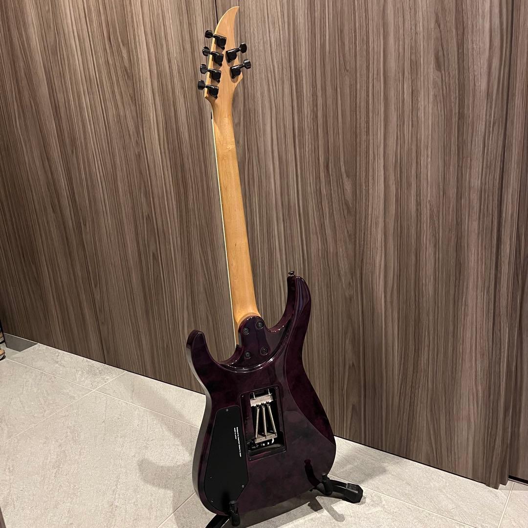 Caparison Dellinger (サスティナー仕様)
